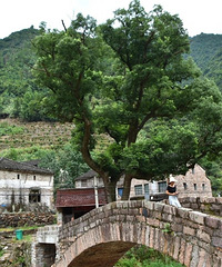 �ٺ��������ӣ���ֱ����ʵ��ġ��һ�Դ��