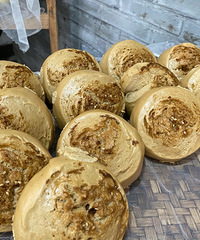 ��ͷ��ѩ����ͷ���������ͷ�һ���ϲ�����ǵ�