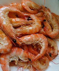 ����ϺҪ����г����е�͸�����ٷ�Ϻ