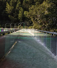 һ��Ҫȥ�����������Ư����������������