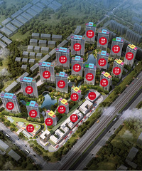 �ٰ��������к�δ������ôѡ������