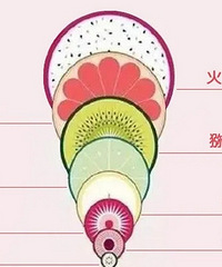 ˳������ʮָ������10����ָ�Ŀ������൱�ڴӶ����ۼ���������