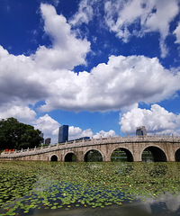 ����㳡���������