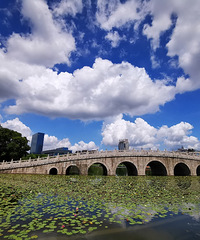 ����㳡���������