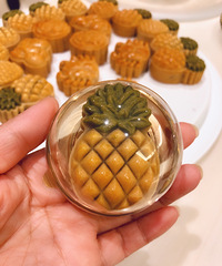 ������±����ϰ�װ�꣬���춼������