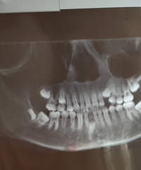 11��Ů������һ�����������������Ƽ�̨�ݼ����õ�������