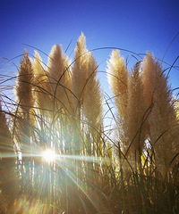 ����̨�ݡ��ͺϹ�԰