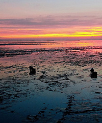 ��Ϧ���ճ�̫����