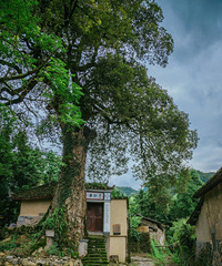 ������������پ����ĹŴ��䣬�������ȥ���Ķȡ������죡