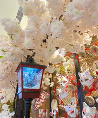 ��Ϧ�ڳ����Է����Ǹ����֣��˺ܶ�