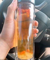 ʲô�����ʺϿ�ʼ���������Ѿ����±����������