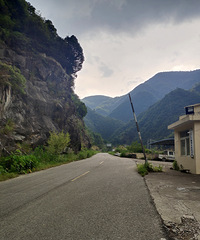 ��ˮ�Ｃ1������ǧϿ���̵������ƺ�����ʤ��