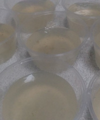 ��һ�������˸࣬�����óԵ�