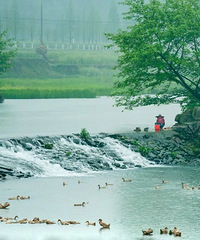 ����ٺ�ʯͷ�壬��Ѹ��ë���׶������Ĵ򿨣�