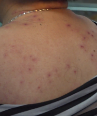 �������飡�㽭Ů��ȫ�����γ�400����̡�