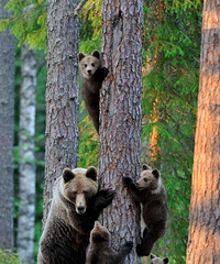 ����ǰ��Ҫ�����𣿽��������ݻ᲻��̫����