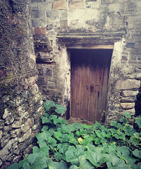 �����������������Ŵ�����