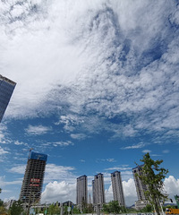 ��������������̩