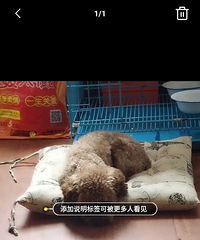 Ѱ�Ұ�����������