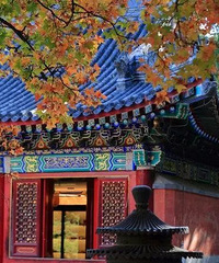 9-10��������а��Ƽ� | ��6���ط�һ������ֵ��������