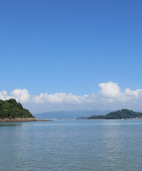 ��2021��һ�����Ƽ���2021��һȥ������