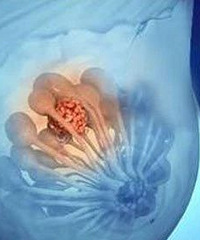 һ�����ڣ�̨�ݼ�λ��̥�и�������ֿ��²���ҽ������������