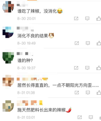 ʱ��8���·�У��Ů�����Ᾱ����������λ�ú����Ρ�