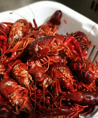 ��ȺС��Ϻ��Ȼ������죬��һ������С��Ϻ