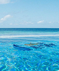 ��Ů�ѵĵ�һ�γ������Σ����������ʺ�����ȥ