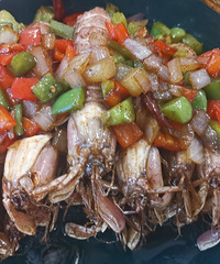 ���ڵ�ƤƤϺ��Ĺ�׳��׳�ģ����˽���ƤƤϺ������