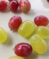 ���۸��᡿Ϊʲô�������׵���Խ��Խ��