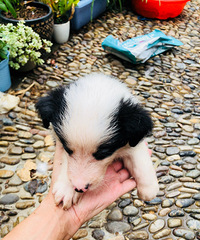 45��������һֻ��ؾ���汾2000Ԫ7ͨ���٣�������