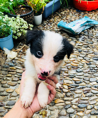 45��������һֻ��ؾ���汾2000Ԫ7ͨ���٣�������