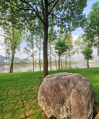 ������̨���ٹ⡿�ٺ�С��