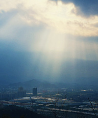 ������̨���ٹ⡿·�ųǵĹ�Ӱ