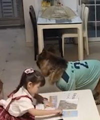 �ɾ��ˣ����������ҳ��Ų���������Ů������ҵ