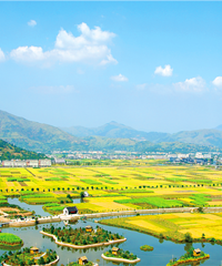 ����˽����4������ֵ�Լ�����