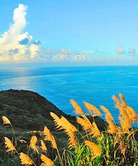 ����˽����4������ֵ�Լ�����