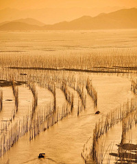 �й�������50���ط�����ȥ��������