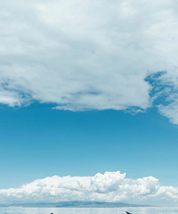 �й�������50���ط�����ȥ��������