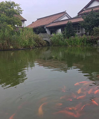 ������̨���ٹ⡿+�ٺ����������������