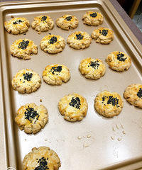 ��͢���֣���������Ҳ����