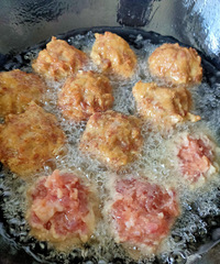 ������Ҫ�ӵ�ˮ��ʨ��ͷ�ڸвŻ����۲���