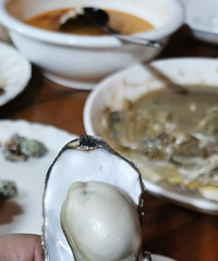 ������µ�֮�ã��Ե����ܷ���������