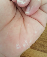 ��������ô�Σ���ˮ������