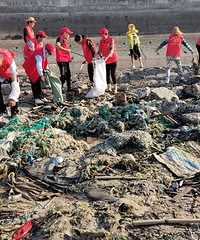 ICC���ʺ�̲����գ�70��λ־Ը�߶�����������