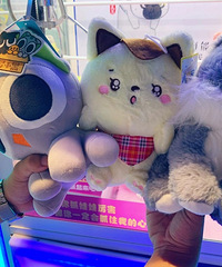 ��ɫţ�ܳ������ۣ��������۱��̲��ĺú�