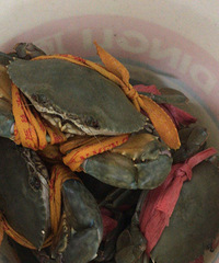 ������з��Ψһ�óԵľ��������ǯ��