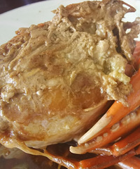 ������з��Ψһ�óԵľ��������ǯ��