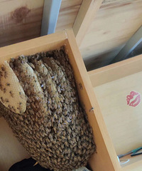 �������飡����������ִ���ѣ�����ͳ�һ����ۣ�ζ����